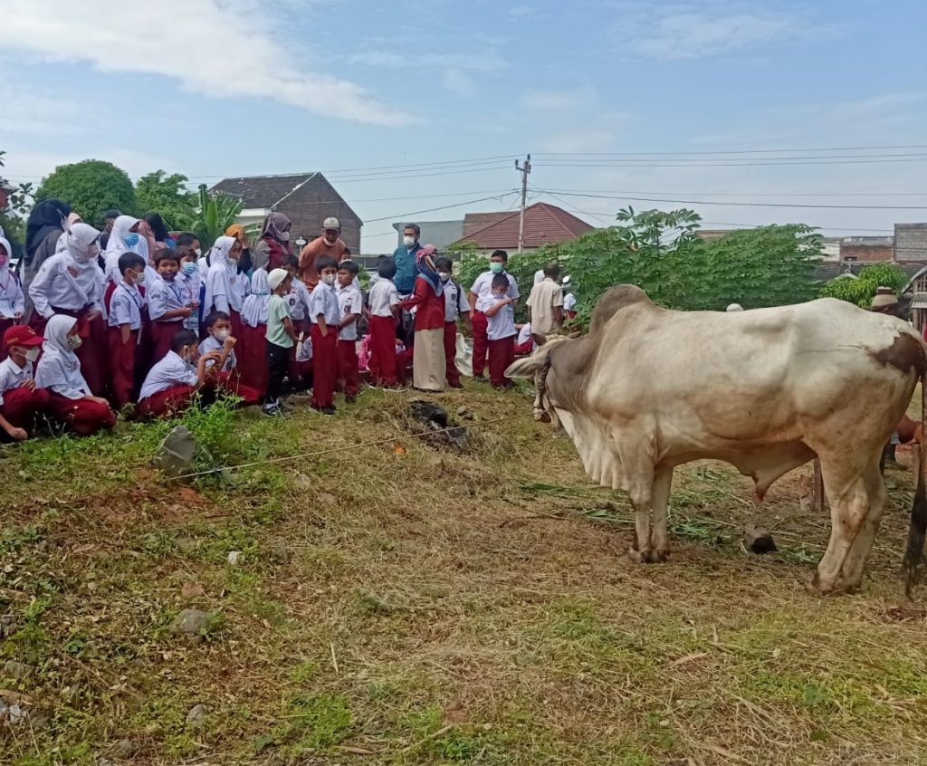 Beranda - Yayasan Pendidikan Islam Al-Falah Semarang